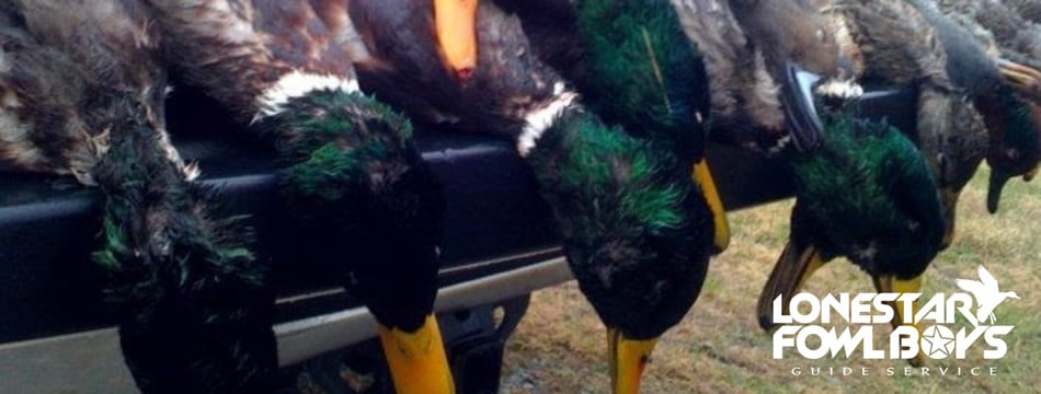 Texas-waterfowl-Guides-slide6
